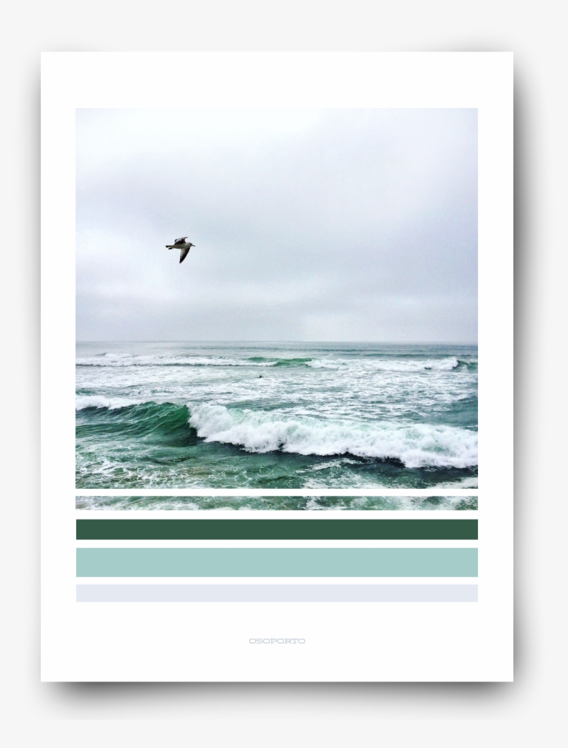 Seagull With Waves Green Graphic Photography Beach - Gull, transparent png #9559522