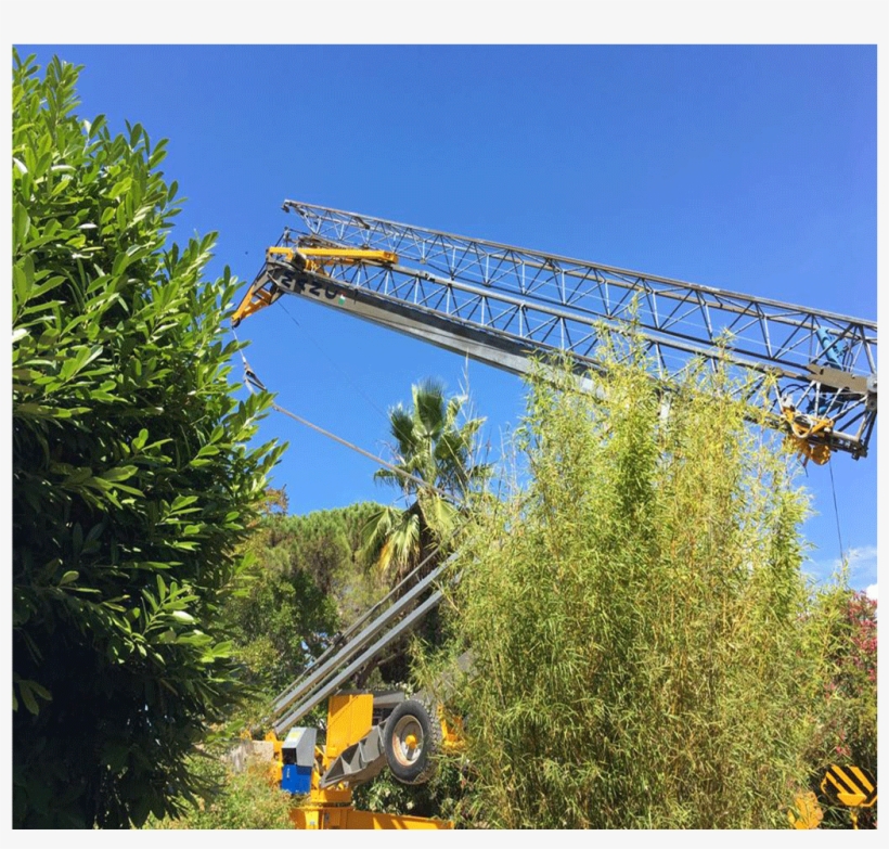 Montaggio Gru San Marco 24 Mt Vallauris - Shortleaf Black Spruce, transparent png #9560207