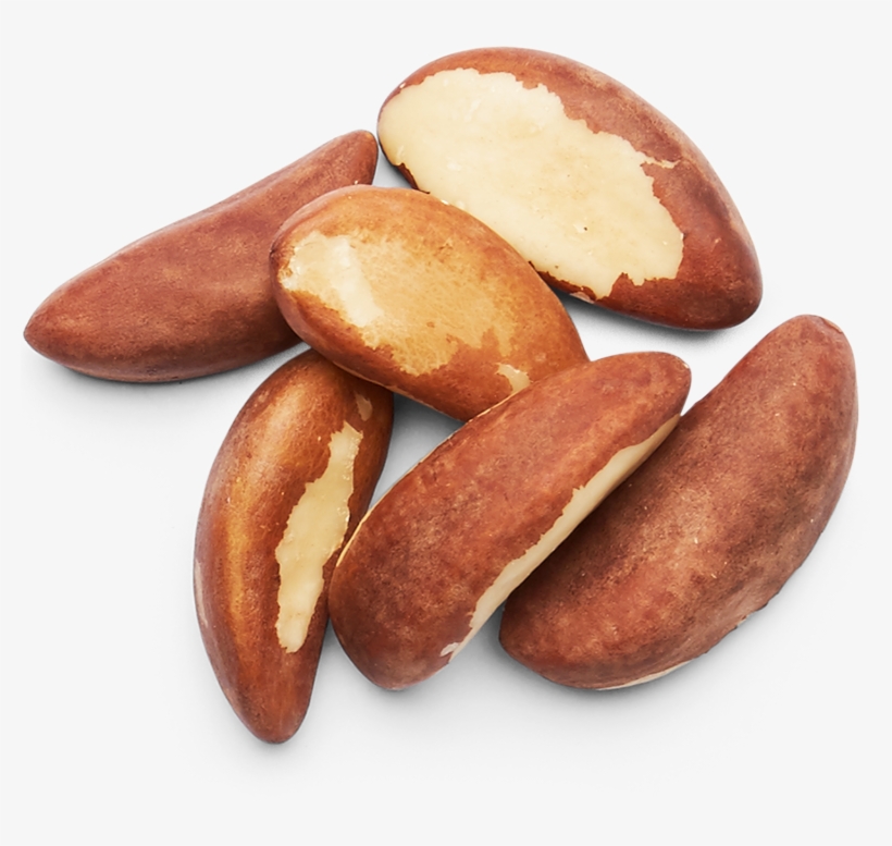 Brazil Nuts Images - 1 Brazil Nut Top View, transparent png #9561475