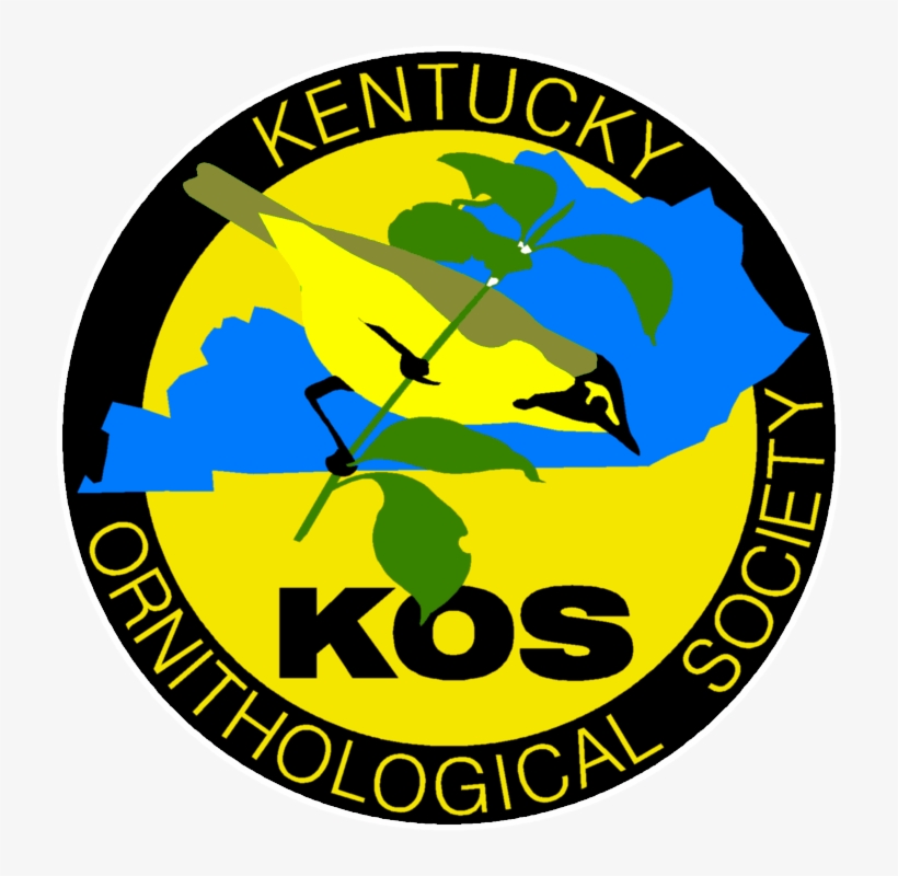 Kentucky Warbler - Circle, transparent png #9561765