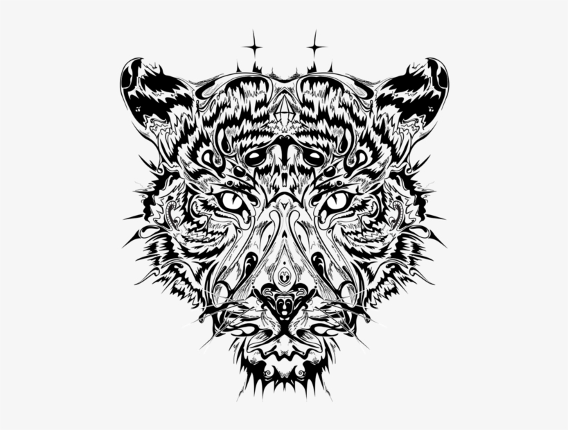 Portfolio Work - Illustration, transparent png #9563251