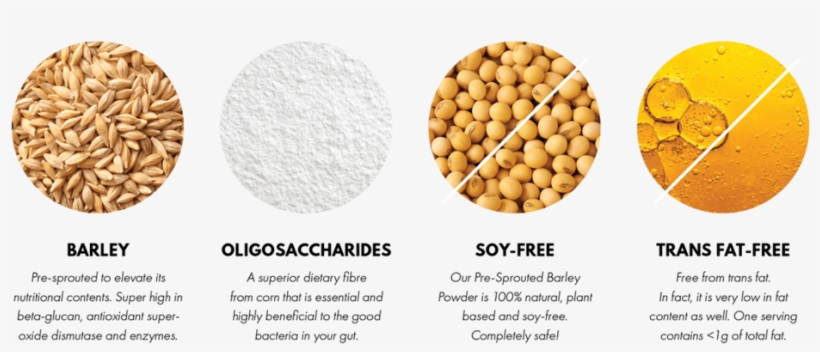 Ingredients-01@0,75x - Dinkel Wheat, transparent png #9563554