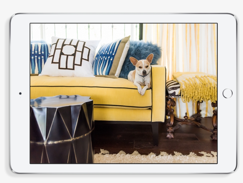 Exploring Design, Architecture & The Way We Live - Shetland Sheepdog, transparent png #9564510