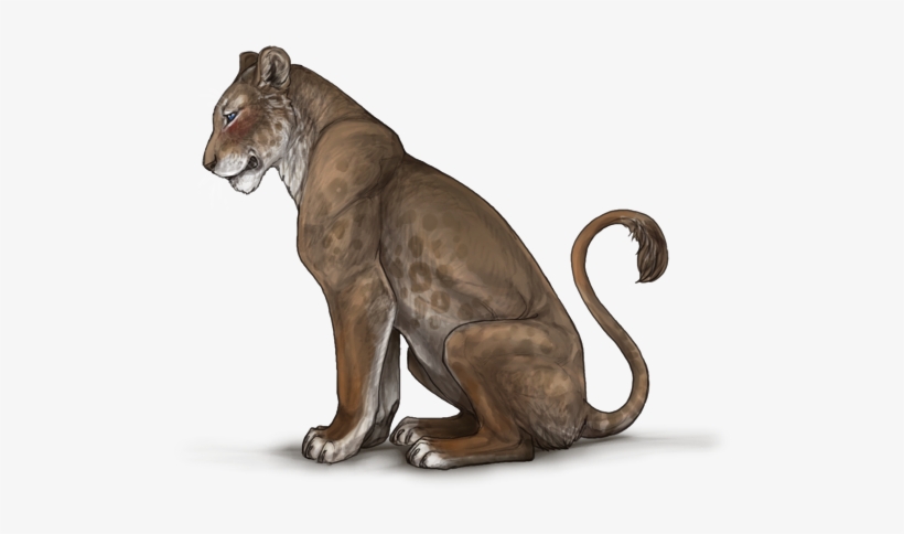 Brontosaurus Hansa, transparent png #9565607