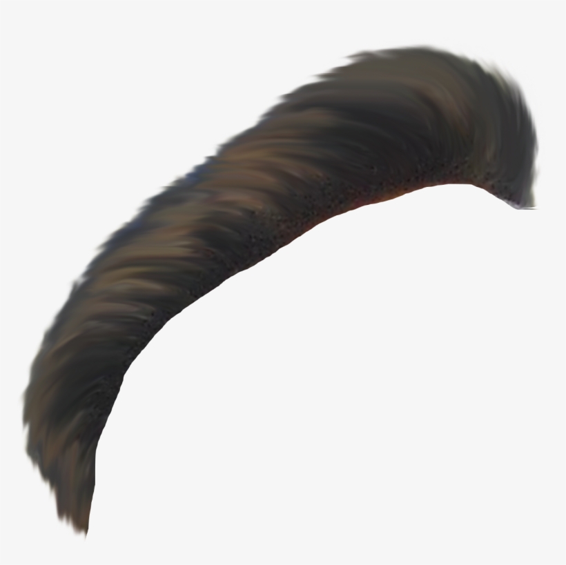 Download Here - Turkey, transparent png #9566343