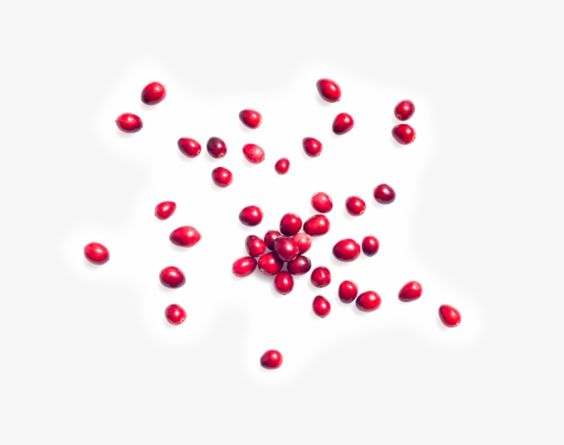 Circle, transparent png #9566520