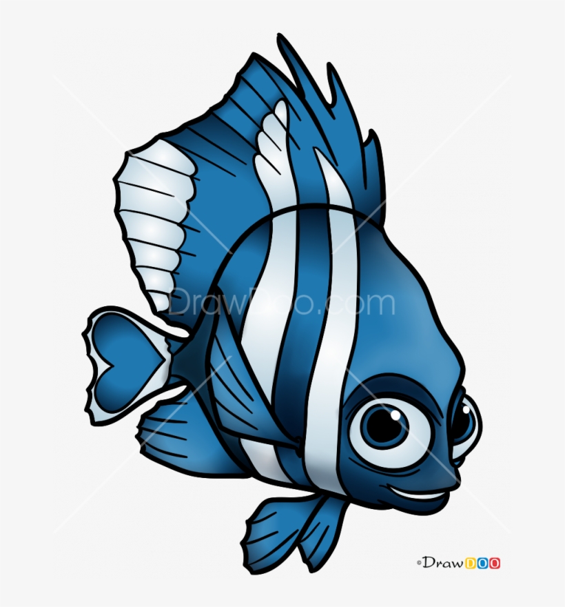 665 X 800 2 - Coral Reef Fish, transparent png #9566875