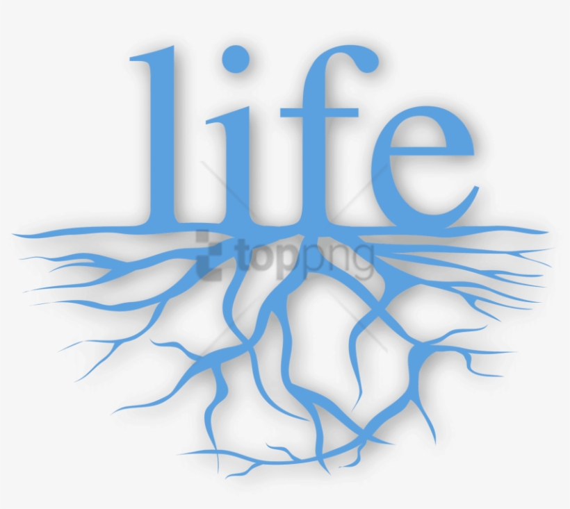 Free Png Love My Life I Am Beautiful Png Image With - Ludwig Maximilian University Of Munich, transparent png #9567001