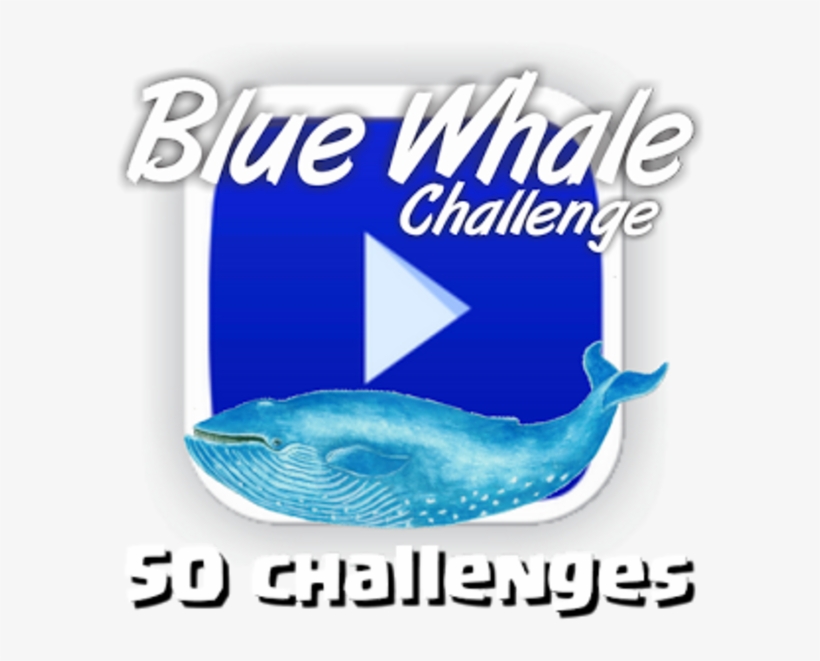 Youtube, transparent png #9568012