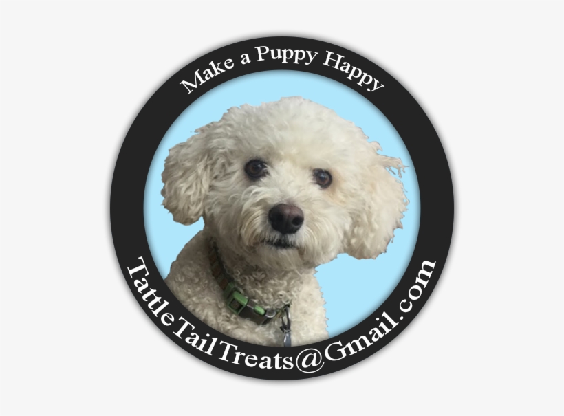 Products We Drool Over - Toy Poodle, transparent png #9568963