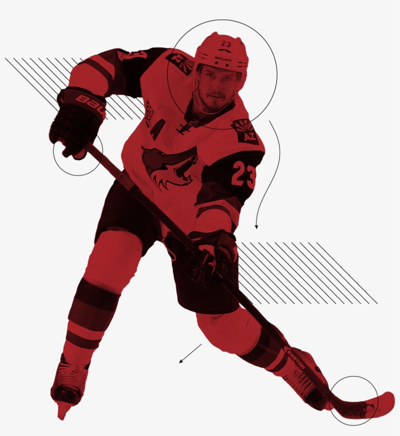 Arizona Coyotes Logo Png - Illustration, transparent png #9569453