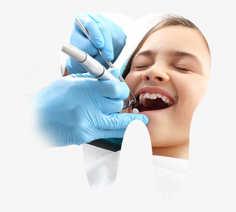Visit Your Dentist Every Six Months To Ensure Early - Dentistry, transparent png #9570574