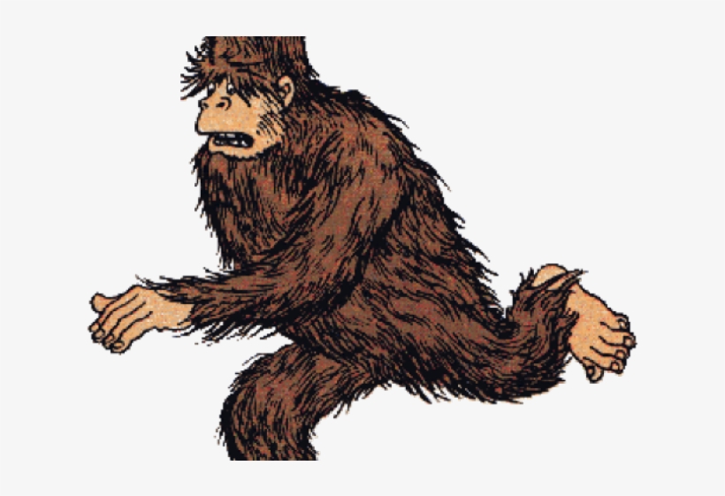 Sasquatch Clipart Transparent - Tintin Yeti, transparent png #9570963