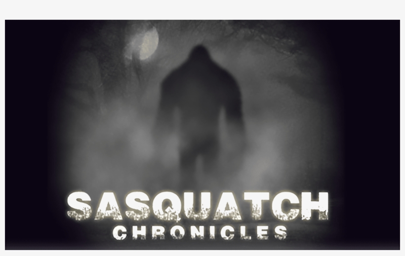 Sasquatch Slide » Sasquatch Slide - Darkness, transparent png #9571009