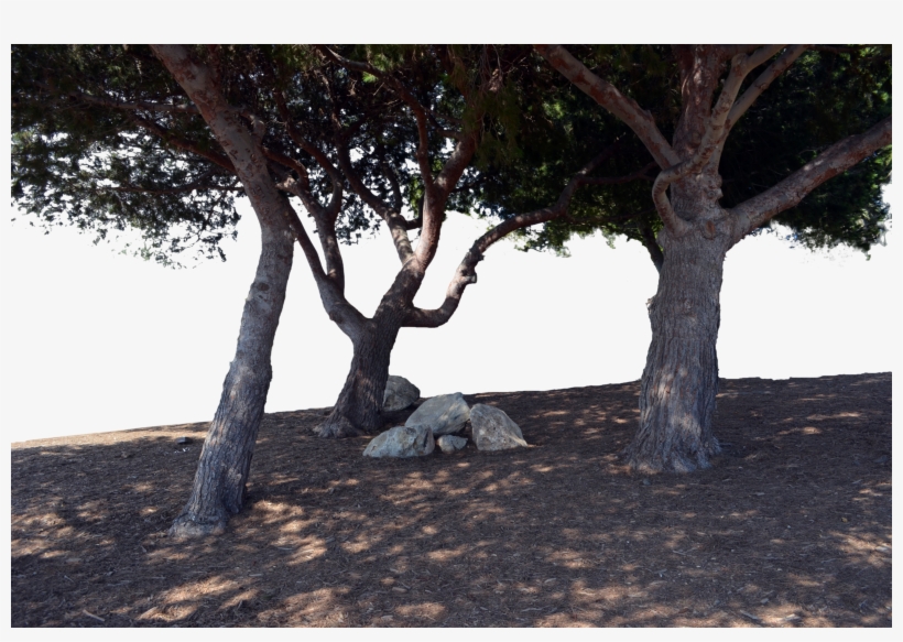 Photo Laptop, Definition Pc - Forest Png Photoshop, transparent png #9571213