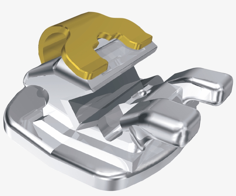 Toad, transparent png #9571833