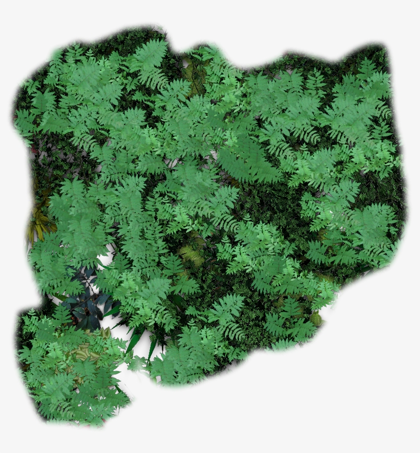 Junglepatch1 - Jungle Tiles, transparent png #9572619