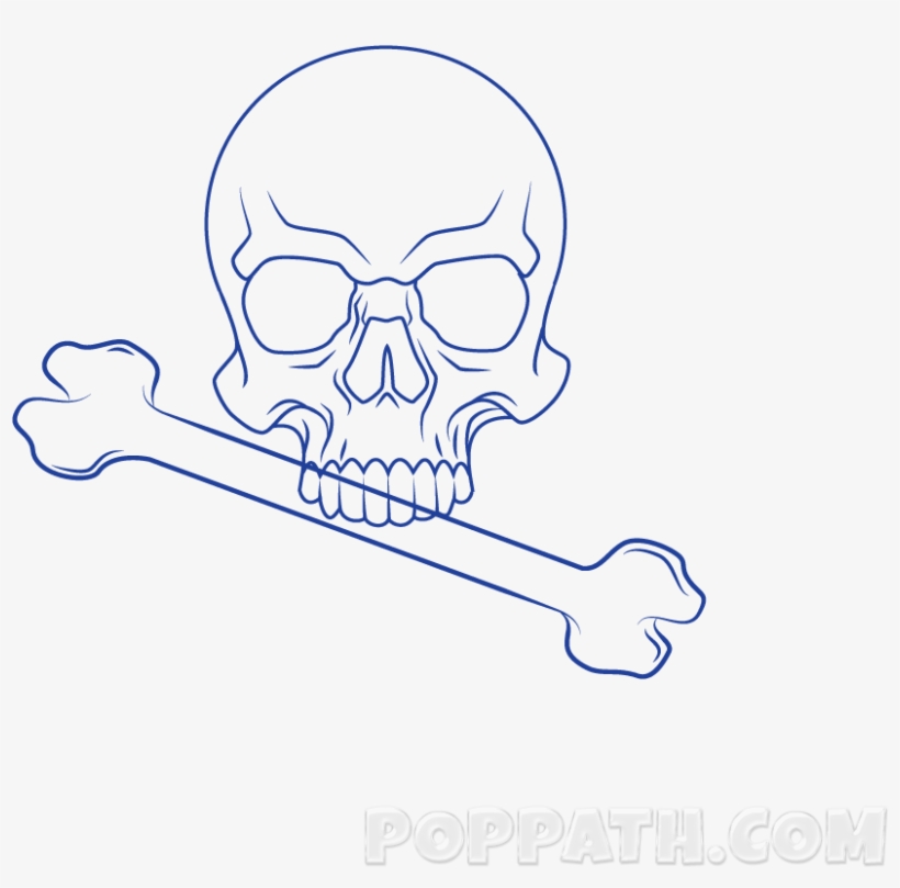 Play Slideshow - Skull, transparent png #9574880