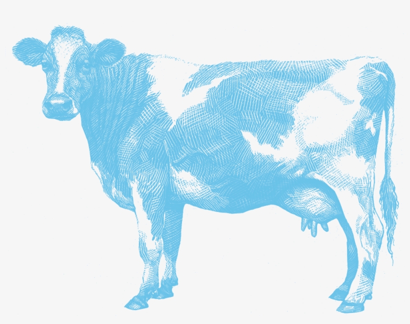 Cow - Aunt Jeans Co Nz, transparent png #9575378