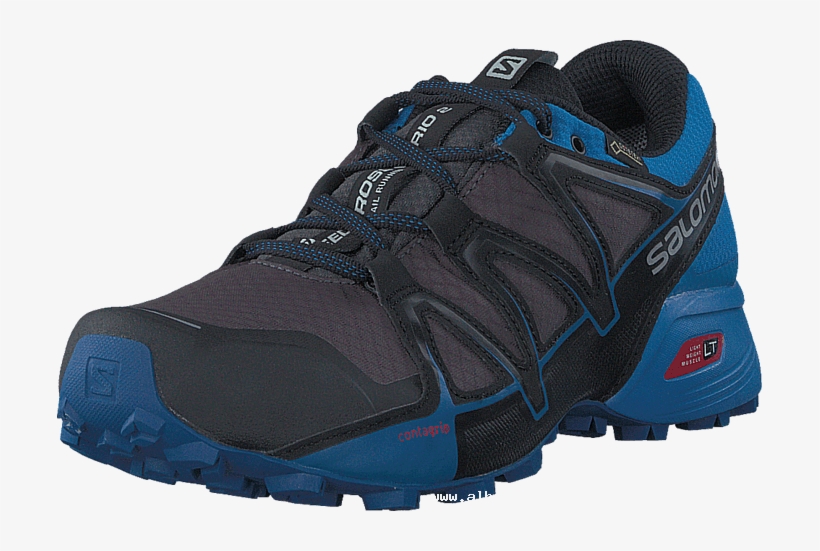 salomon vario 2 gtx