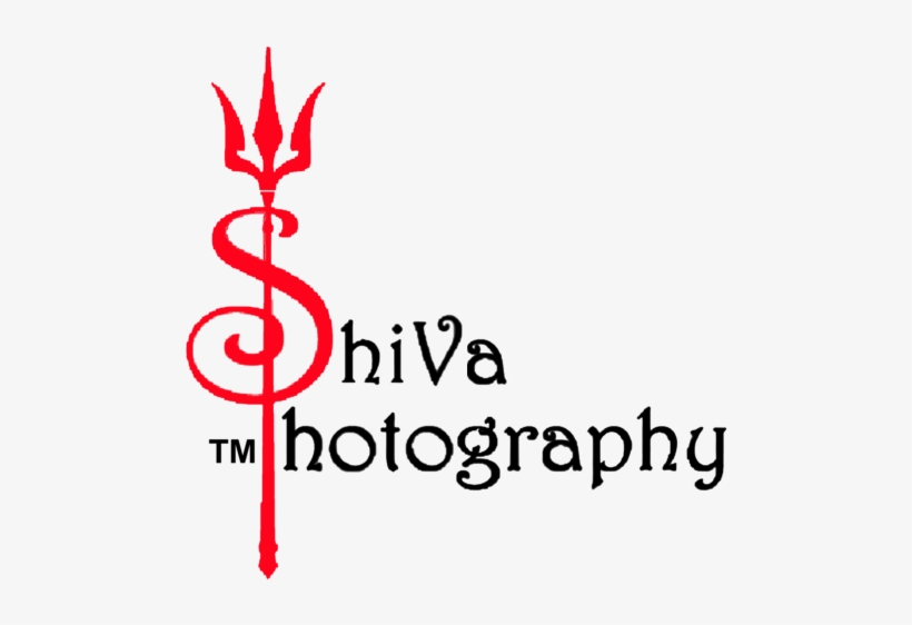 Tree#png - Shiv Photography Logo Png, transparent png #9577092
