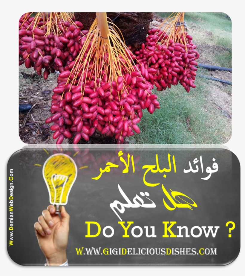 فوائد البلح فوائد البلح الاحمر - Fruit, transparent png #9577825