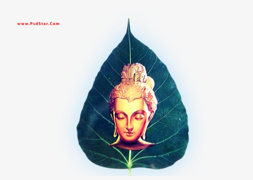 Creative Arts, transparent png #9578081