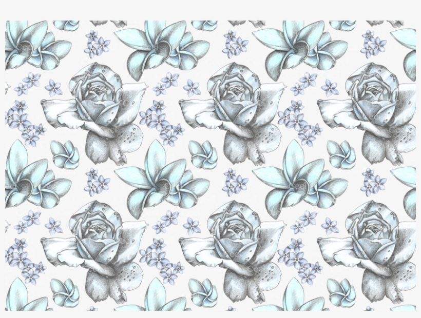 Alice Biglietto A4 - Sketch, transparent png #9578278