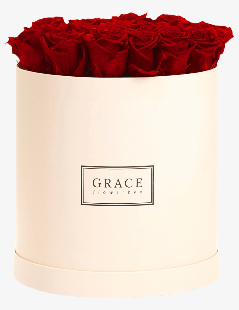 Garden Roses, transparent png #9578658