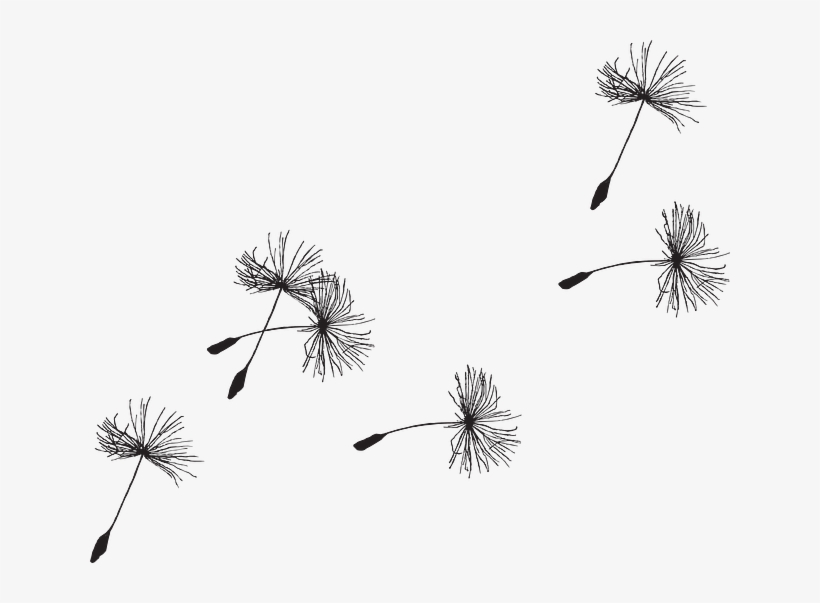 Free Vector Graphic - Dandelion Seed Tattoo Design, transparent png #9578919