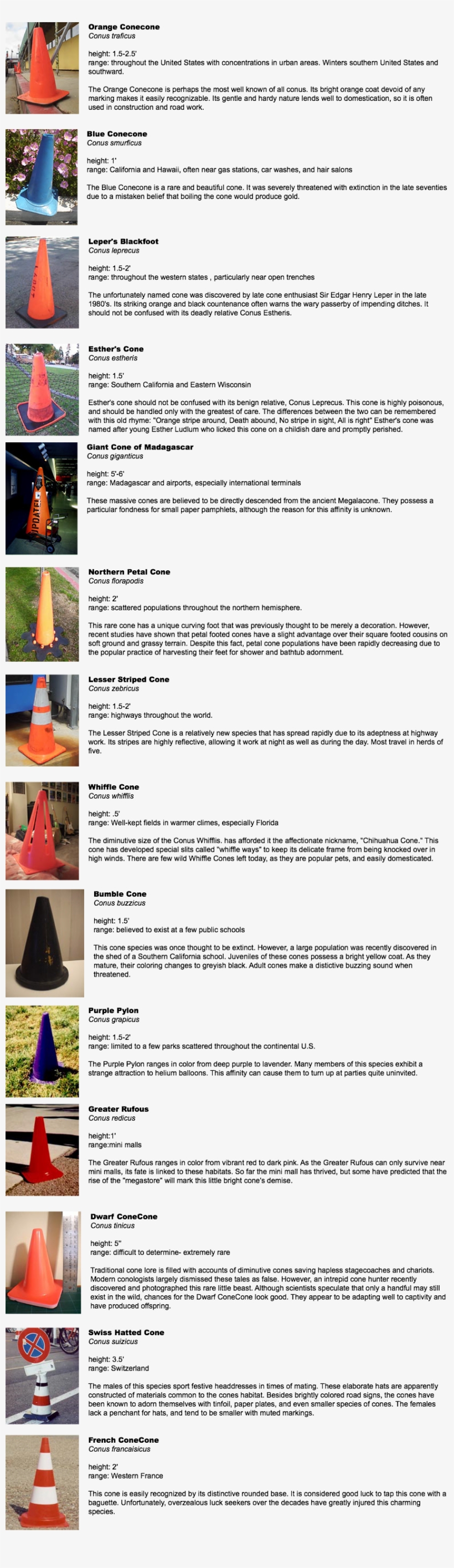 Traffic Cone Preservation Society - Triangle, transparent png #9579680