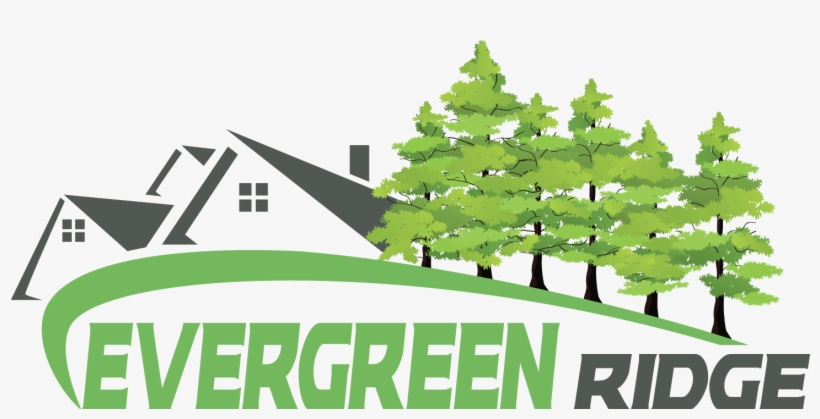 About Evergreen Ridge Estates - Christmas Tree, transparent png #9580067