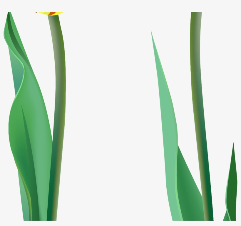 Spring Tulips Png Clipart Gallery Yopriceville High - Grass, transparent png #9583270