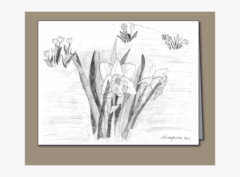 Sketch, transparent png #9583545