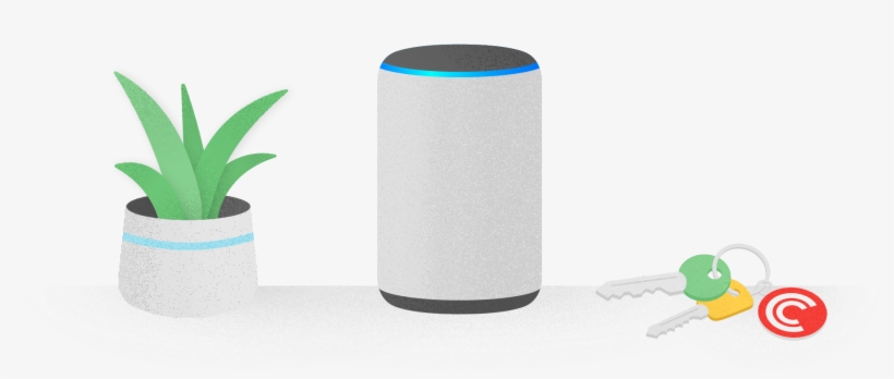 “alexa, Tell Pocket Casts To” - Houseplant, transparent png #9585793