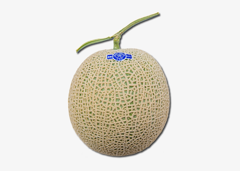 Australia Rock Melon - Honeydew, transparent png #9586876