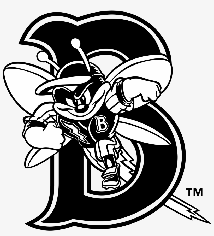 Binghamton Mets Logo Png Transparent - Binghamton Mets, transparent png #9587655