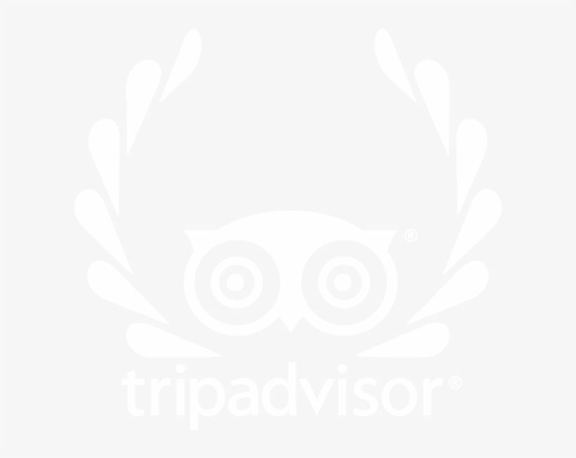 Tripadvisor Travellers Choice 2019, transparent png #9587973
