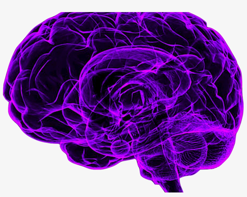 Mindfulness Meditation Made Simple - Purple Brain Transparent, transparent png #9588058