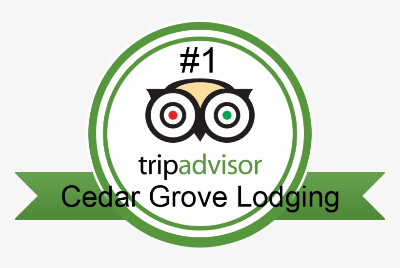 Tripadvisor1 - Circle, transparent png #9588101