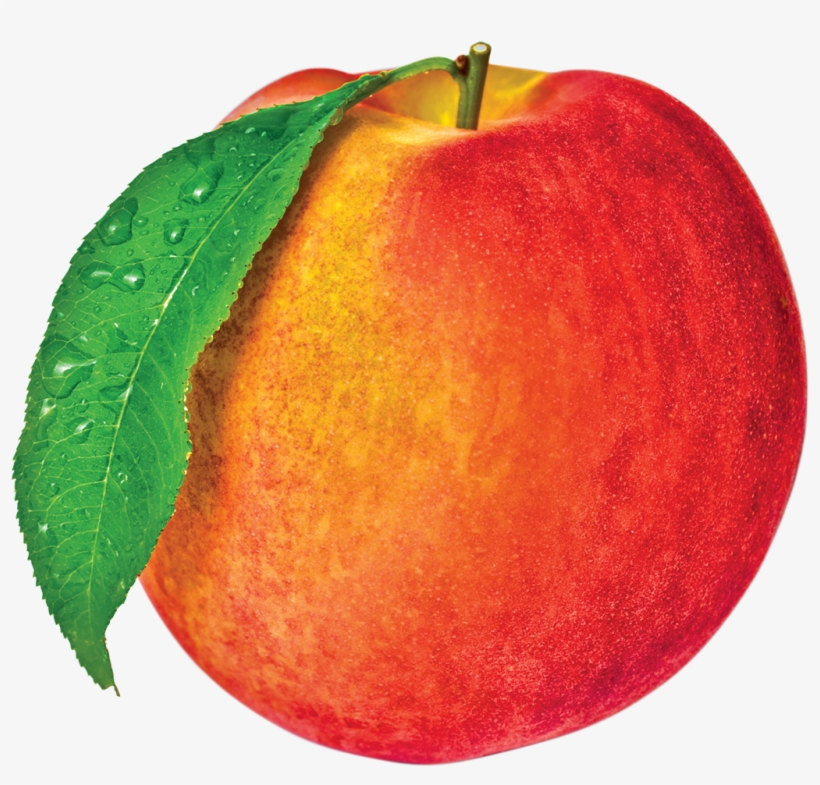 Juicy Peach Tart - Juicy Peach, transparent png #9590509