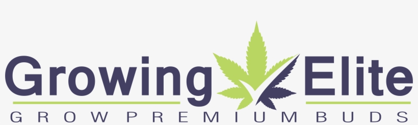 Growing Elite Marijuana By Ryan Riley - Aloe, transparent png #9591762