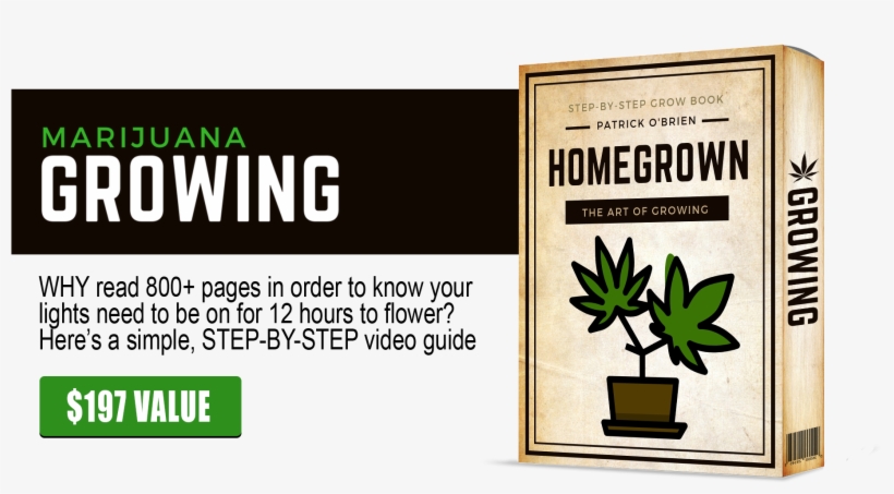 Marijuana Grow Book - Herbal, transparent png #9591804