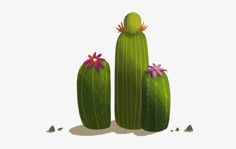 Anna Laera - Hedgehog Cactus, transparent png #9592205
