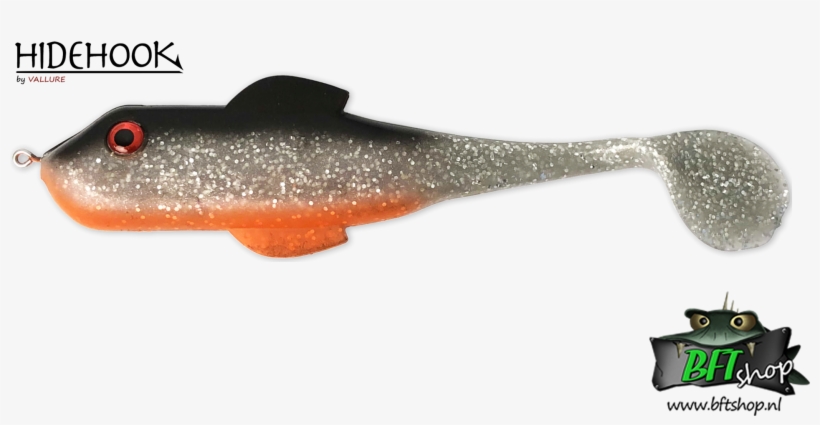 Gulf Flounder, transparent png #9593381