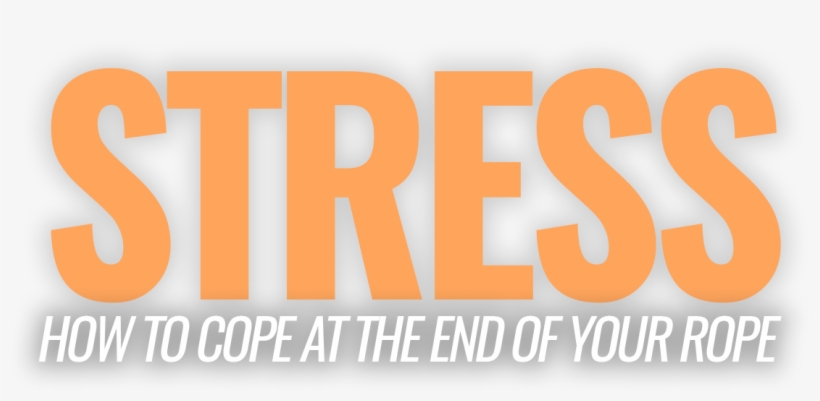 Select The Topic That Best Applies To You - Orange, transparent png #9593702