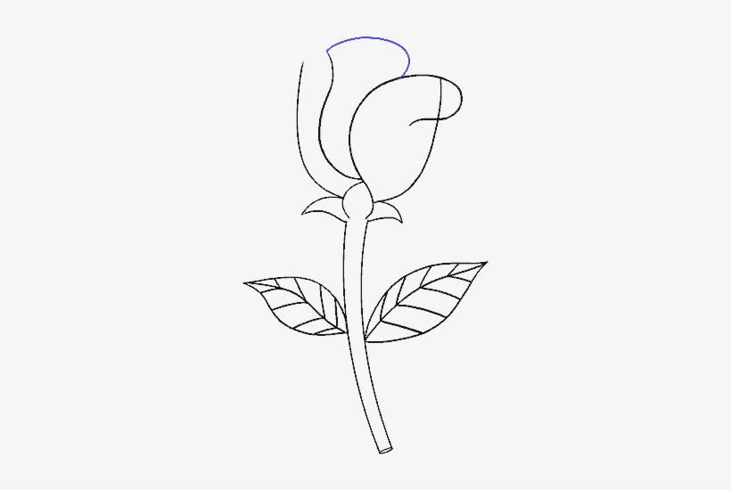 How To Draw Simple Rose - Iris, transparent png #9594088