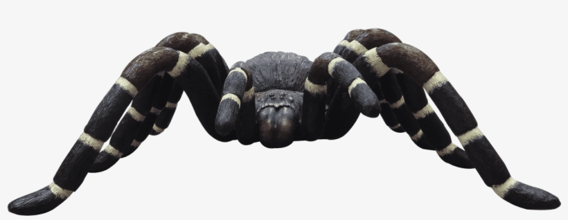 Insect Spider Tarantula Over Sized Bug Prop Resin Decor - Fiddler Crab, transparent png #9595627