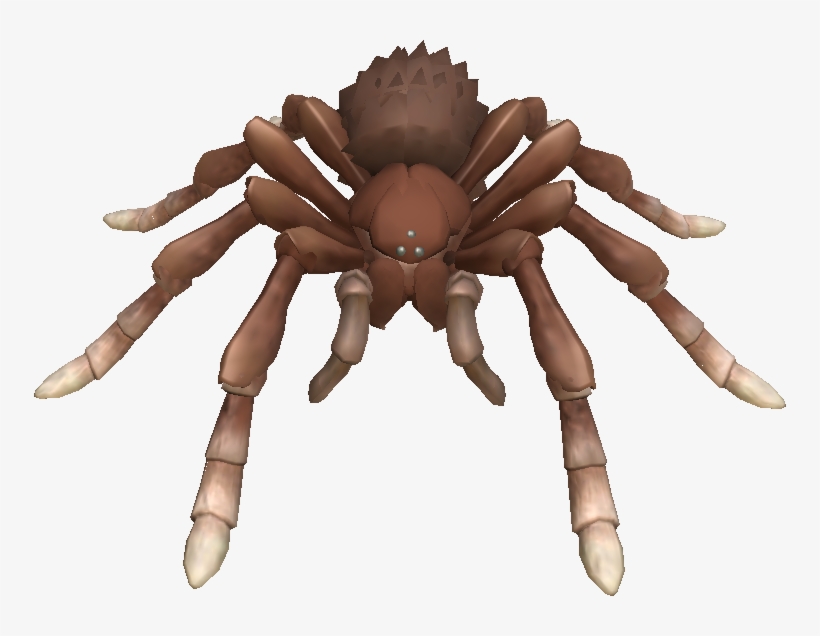Сделать игру пауки. Spore паук. Сплоди Spore. Spore существо: Сплоди. Spore монстры пауки.
