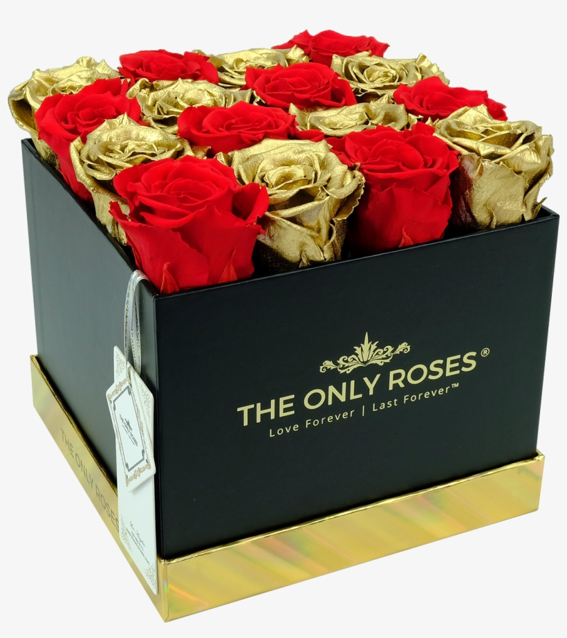 Red And Gold Preserved Roses - Rose, transparent png #9596434